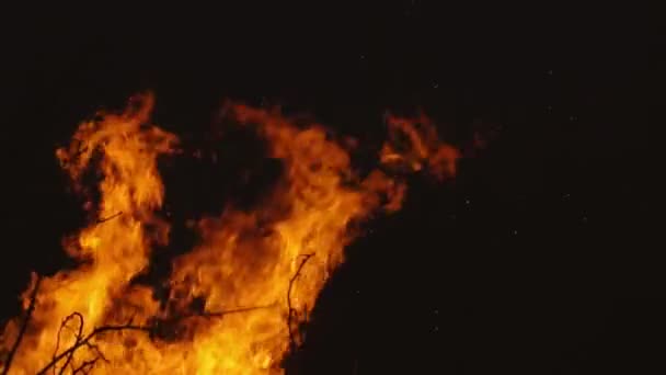 Fuego ardiente sobre un fondo oscuro — Vídeo de stock