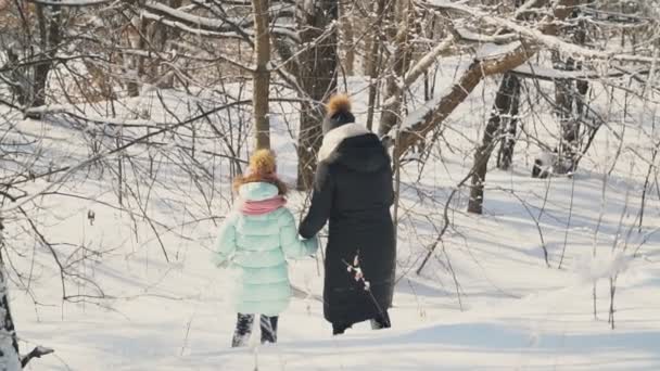ママと彼女の娘は雪の中を歩いています — ストック動画