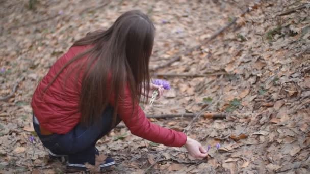 Girl collects snow — Stock Video