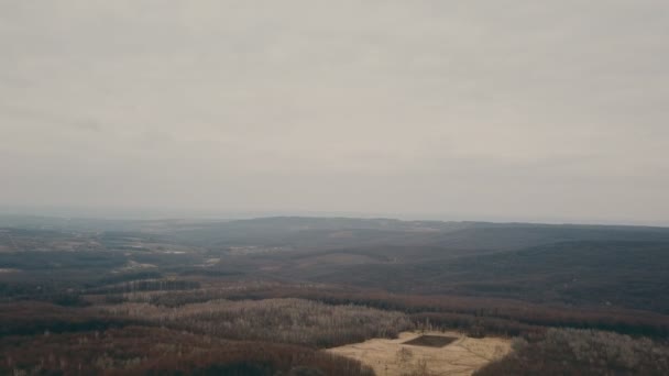 森林里的土路 — 图库视频影像