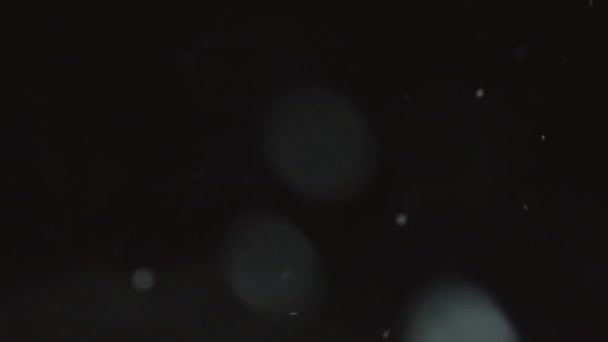 黒い背景に雪が降って — ストック動画