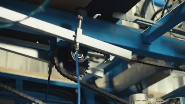 Överföring av kartong till maskinen för tillverkning av papp kartonger — Stockvideo