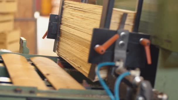Kutular üretiminde plakaların yeniden yerleştirme — Stok video