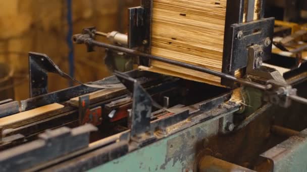 Verlagerung von Platten bei der Herstellung von Schachteln — Stockvideo