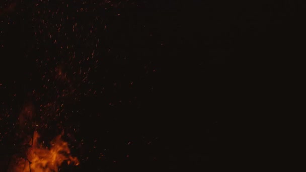 Чёрный фон Fire Flames — стоковое видео