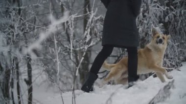 kadın ile köpek yürüyüş