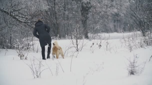 강아지와 함께 산책 하는 여자 — 비디오