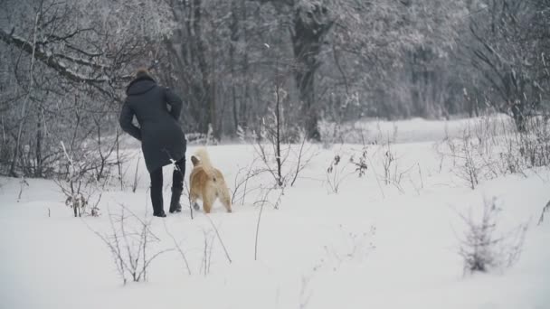 Женщина гуляет с собакой — стоковое видео