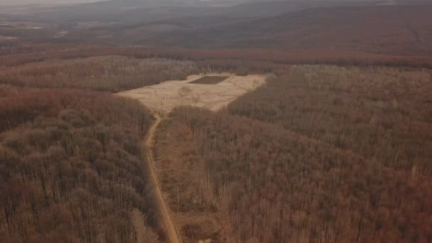 Strada sterrata nel bosco — Video Stock