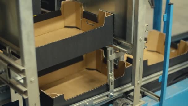 Cardboard box production — Stock Video