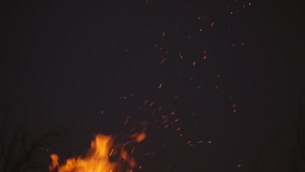 Égő tűz egy sötét háttér — Stock videók