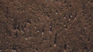 çim üzerinde plastik çantalar