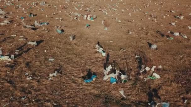 Műanyag zacskók a gyepen — Stock videók