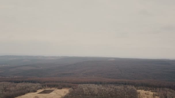 Strada sterrata nel bosco — Video Stock