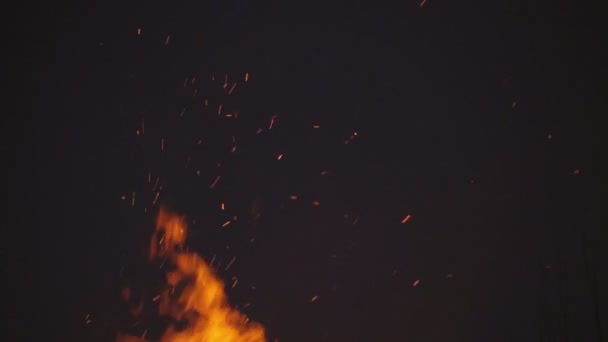 Hořící oheň na tmavém pozadí — Stock video