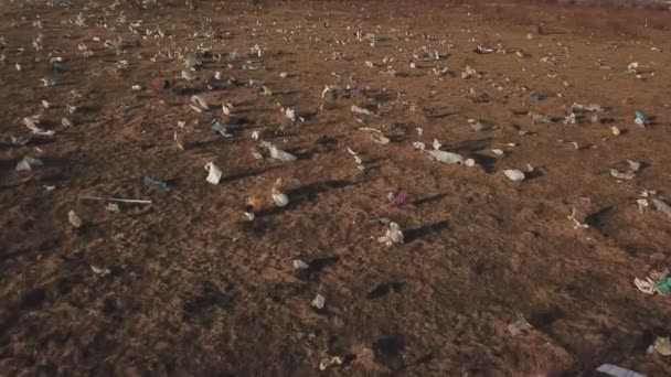Plastic zakken op het gazon — Stockvideo
