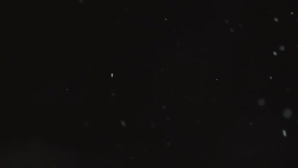 黑色背景上飘雪 — 图库视频影像