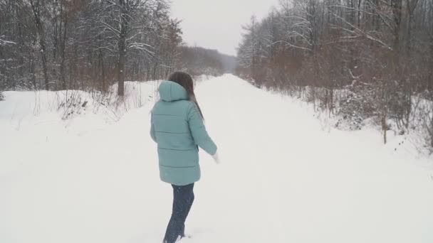 Дівчина проходить через засніжений парк — стокове відео