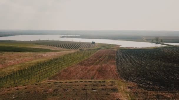 Campo y lago desde una altura — Vídeos de Stock