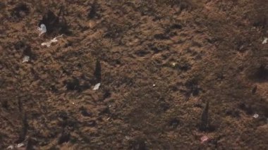 çim üzerinde plastik çantalar