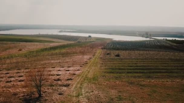 champ et lac d'une hauteur 