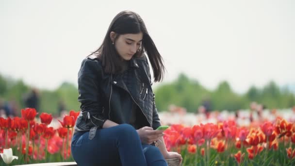 Flicka med en telefon i handen på en tulpan fält — Stockvideo