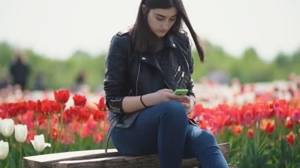 Fille avec un téléphone à la main sur un champ de tulipes — Video