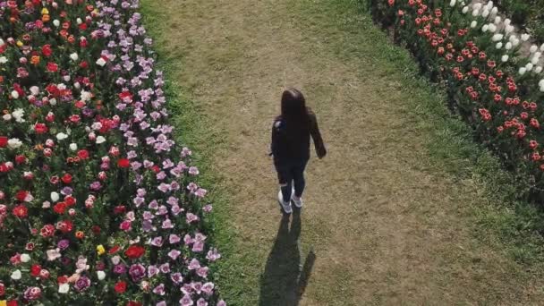 Mädchen reitet auf einem Tulpenfeld — Stockvideo