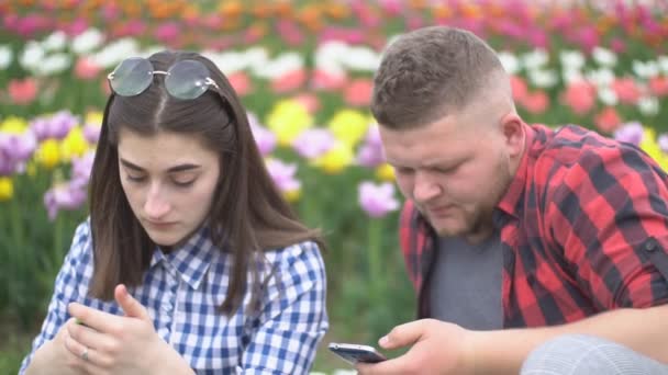 Couple assis dans la nature et regardant le téléphone — Video