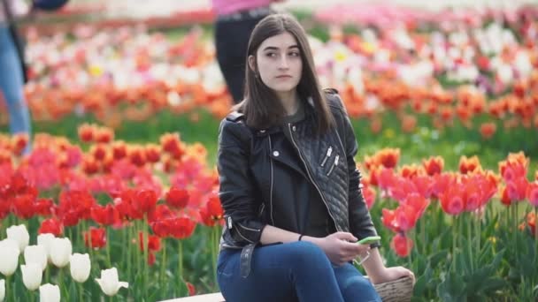 Fille avec un téléphone à la main sur un champ de tulipes — Video