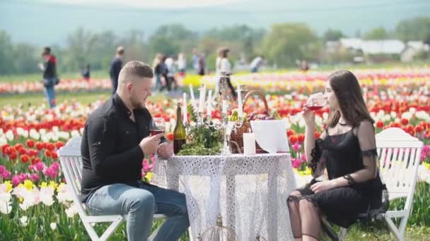 Young couple sitting at the table and drinking wine — Stock Video