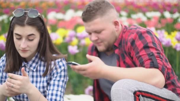 Couple assis dans la nature et regardant le téléphone — Video