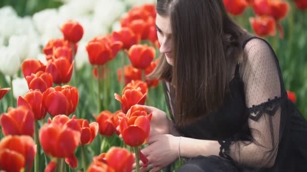 Flicka sniffa Röda tulpaner — Stockvideo