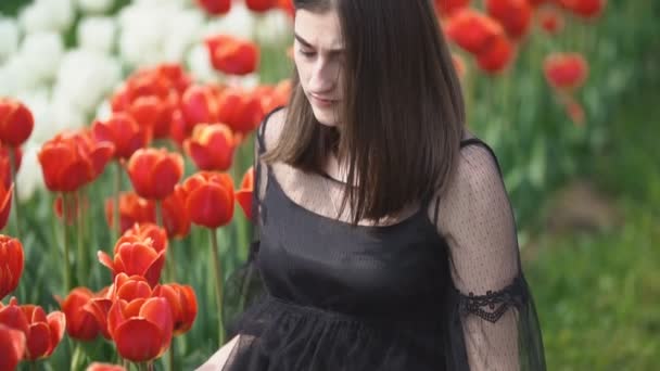 Fille renifler tulipes rouges — Video