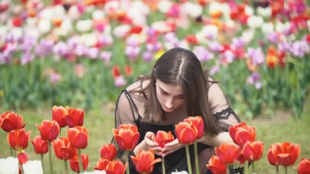 Mädchen schnüffelt an roten Tulpen — Stockvideo
