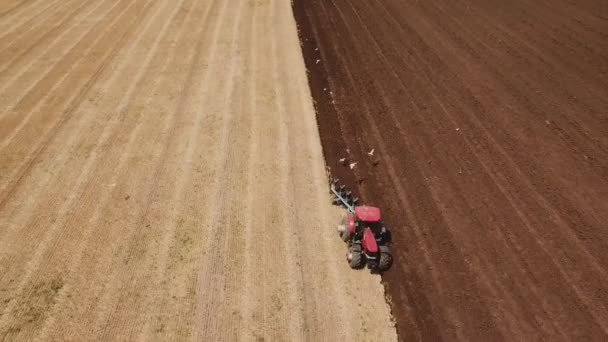 Två traktorer plogen marken — Stockvideo
