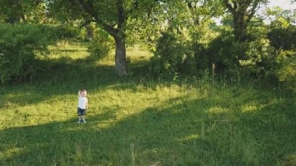 Little boy on the lawn — Stock Video