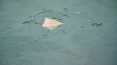 balık suya atılan ekmek yemek