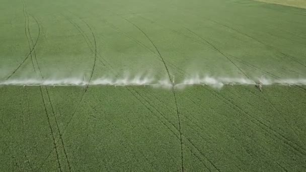 Pulvérisation d'eau dans le champ — Video