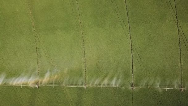 Rociando el campo con agua — Vídeo de stock