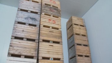 elma ile büyük kutular