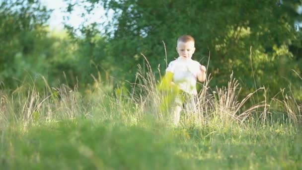 Маленький мальчик на лужайке — стоковое видео