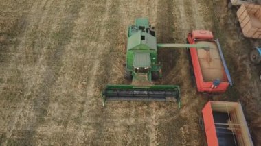 birleştirmek arabanın römork içine buğday boşaltır