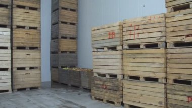 elma ile büyük kutular