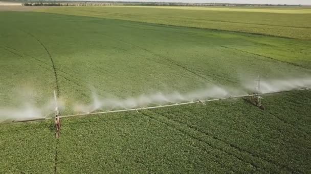 Pulvérisation d'eau dans le champ — Video