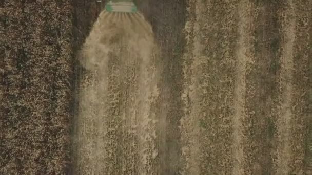 la moissonneuse collecte le grain 