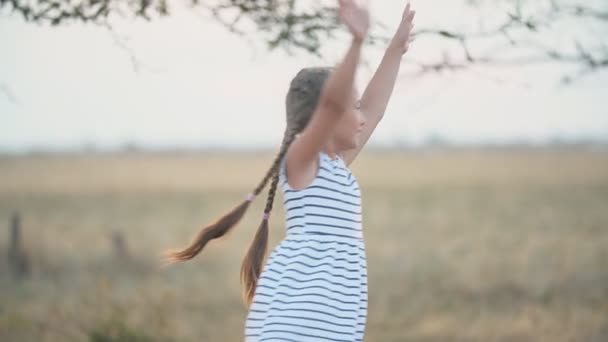 Portret van een klein meisje — Stockvideo