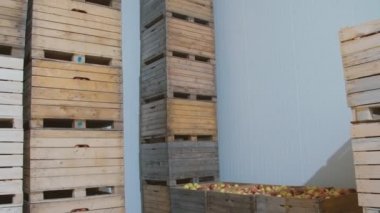 elma ile büyük kutular