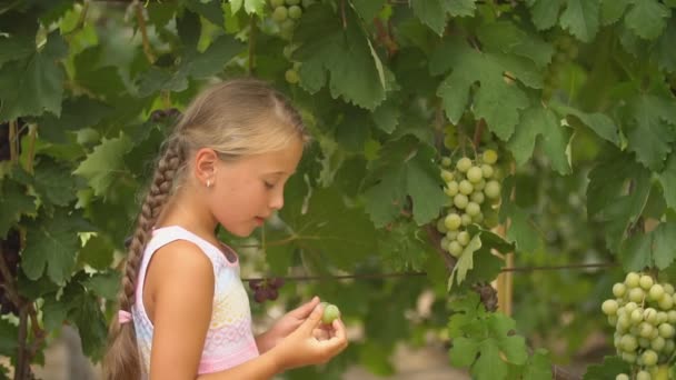 Девушка ест виноград — стоковое видео