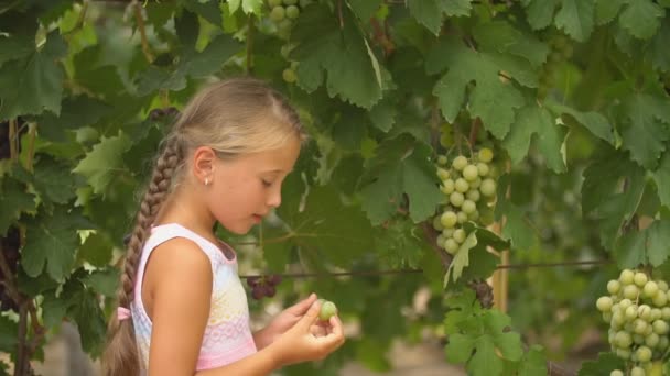 Menina comendo uvas — Vídeo de Stock